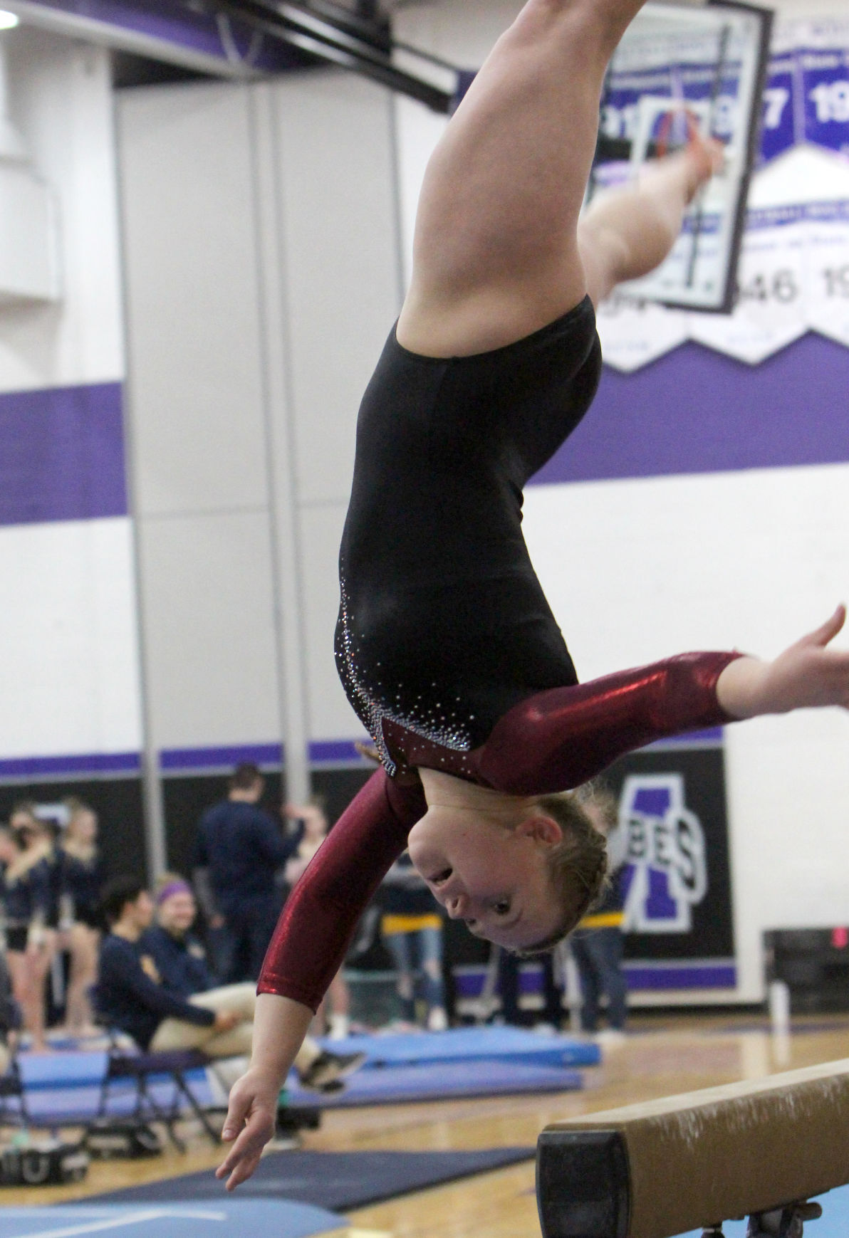 Big Rivers Conference Gymnastics at Eau Claire Memorial 2-22-20